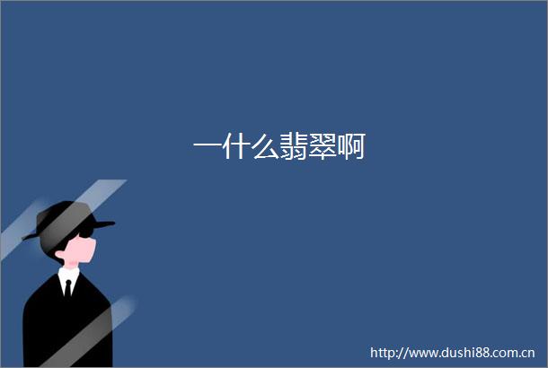 一什么翡翠啊