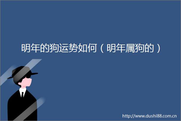 明年的狗运势如何（明年属狗的）