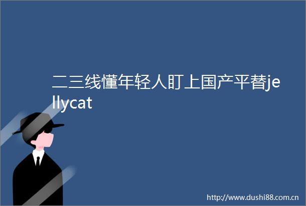 二三线懂年轻人盯上国产平替jellycat
