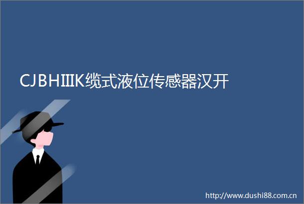 CJBHIIIK缆式液位传感器汉开