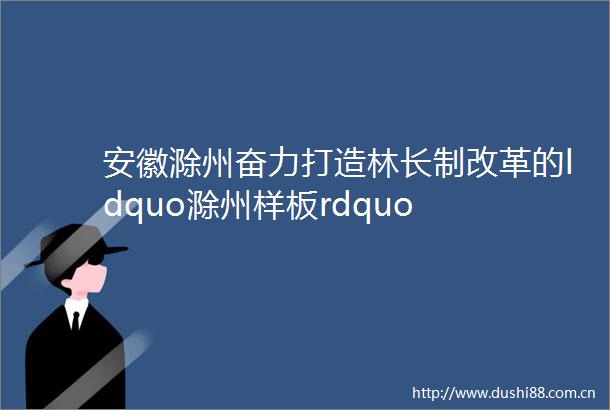 安徽滁州奋力打造林长制改革的ldquo滁州样板rdquo