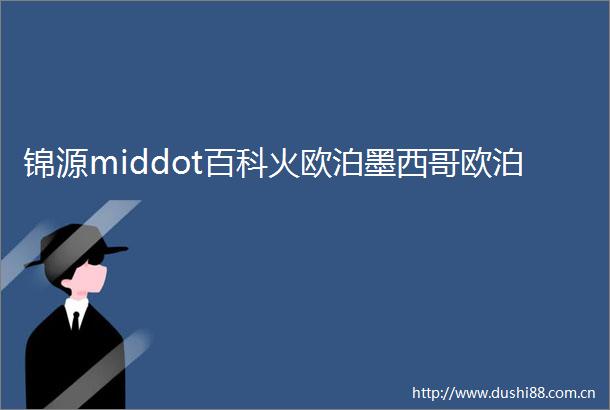 锦源middot百科火欧泊墨西哥欧泊
