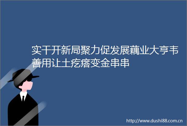 实干开新局聚力促发展藕业大亨韦善用让土疙瘩变金串串