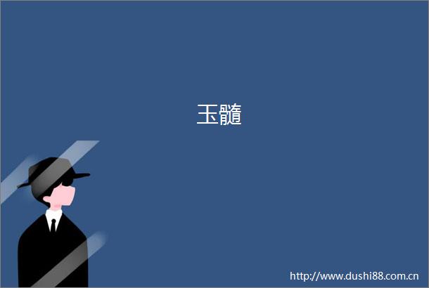 玉髓