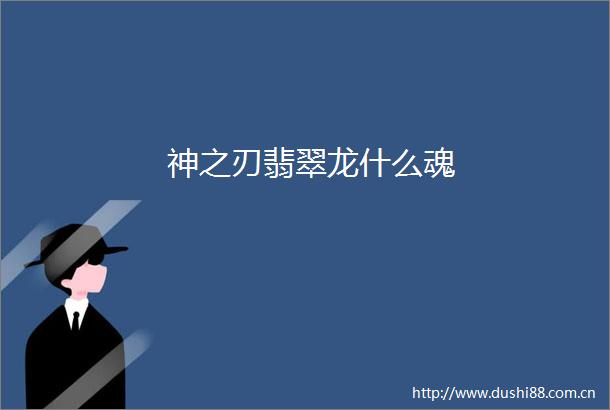 神之刃翡翠龙什么魂