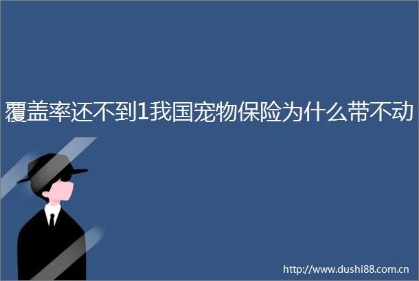 覆盖率还不到1我国宠物保险为什么带不动