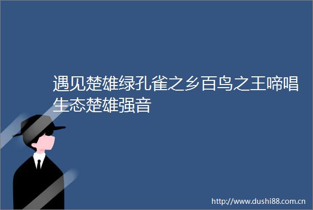 遇见楚雄绿孔雀之乡百鸟之王啼唱生态楚雄强音