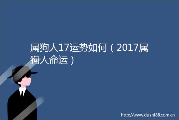 属狗人17运势如何（2017属狗运）