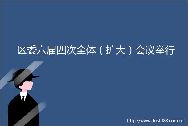 区委六届四次全体（扩大）会议举行