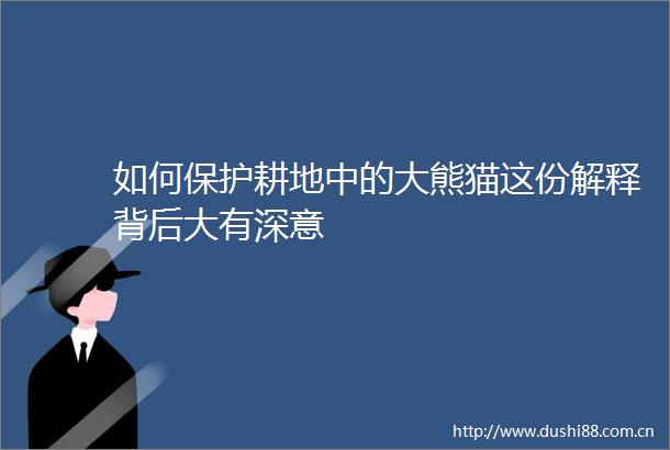 如何保护耕地中的大熊猫这份解释背后大有深意