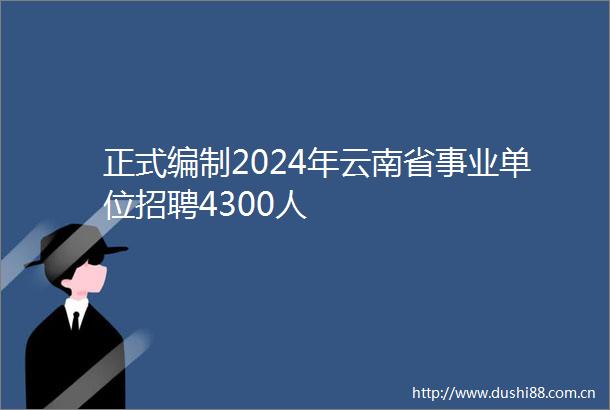 正式编制2024年云南省事业单位招聘4300人