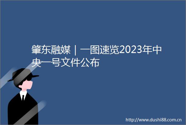 肇东融媒｜一图速览2023年中央一号文件公布