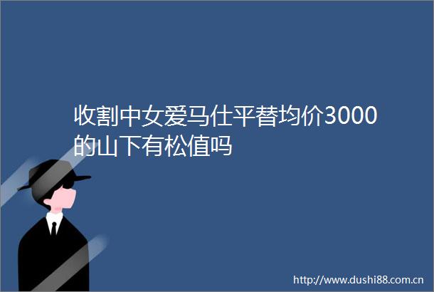 收割中女爱马仕平替均价3000的山下有松值吗