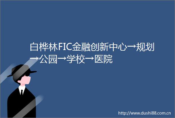 白桦林FIC金融创新中心→规划→公园→学校→医院
