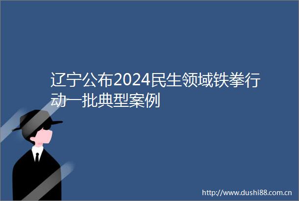 辽宁公布2024民生领域铁拳行动一批典型案例