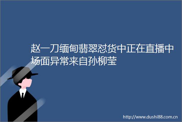赵一刀缅甸翡翠怼货中正在直播中场面异常来自孙柳莹