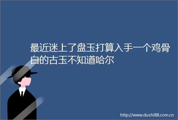 最近迷上了盘玉打算入手一个鸡骨白的古玉不知道哈尔