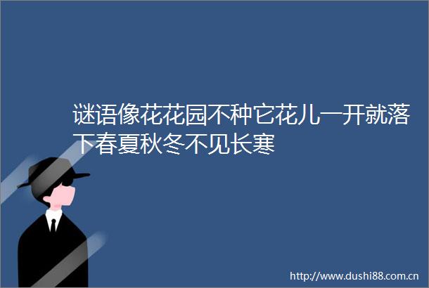 谜语像花花园不种它花儿一开就落下春夏秋冬不见长寒