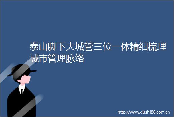 泰山脚下大三位一体精细梳理城市管理脉络