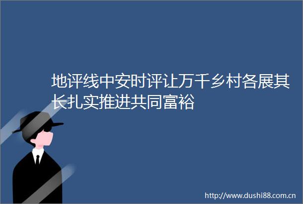 地评线中安时评让万千乡村各展其长扎实推进共同富裕