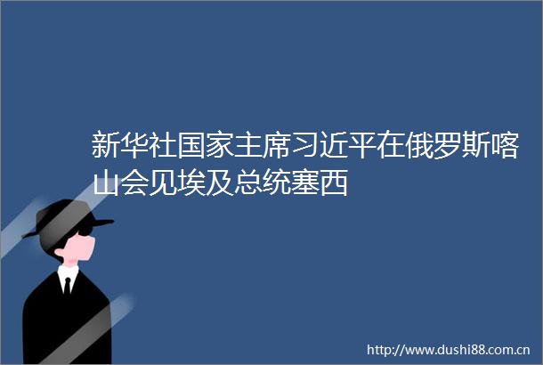 新华社在俄罗斯喀山会见埃及总统塞西