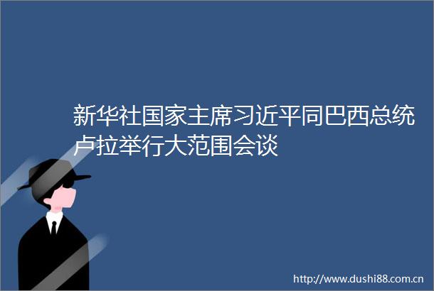 新华社同巴西总统卢拉举行大范围会谈