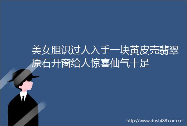 美女胆识过人入手一块黄皮壳翡翠原石开窗给人惊喜仙气十足