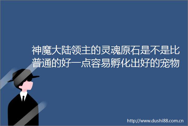 神魔大陆领主的灵魂原石是不是比普通的好一点容易孵化出好的宠物啊