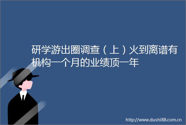 研学游出圈调查（上）火到离谱有机构一个月的业绩顶一年