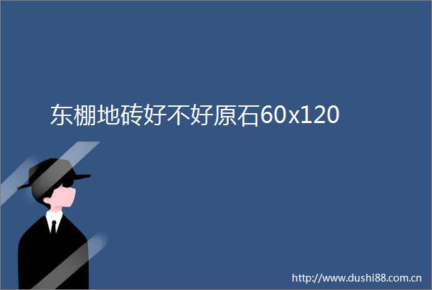 东棚地砖好不好原石60x120