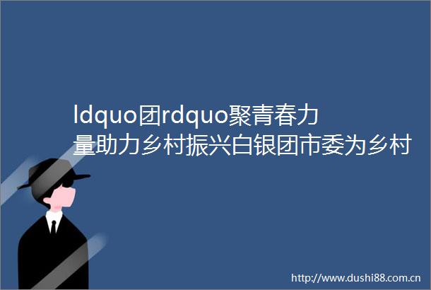 ldquo团rdquo聚青春力量助力乡村振兴白银团市委为乡村振兴注入ldquo青rdquo活力