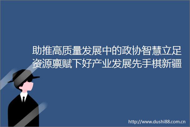 助推高质量发展中的政协智慧立足资源禀赋下好产业发展先手棋新疆政协聚智推动南疆地区高质量发展