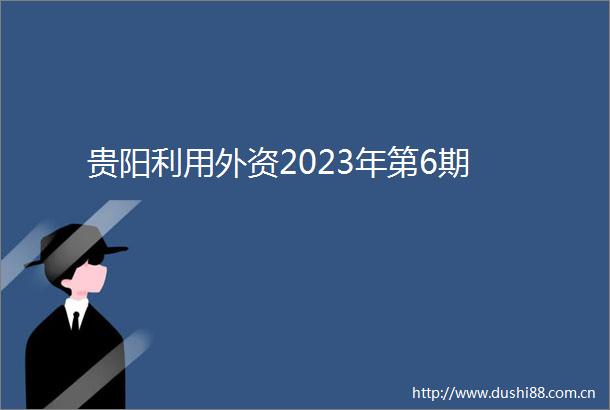 贵阳利用外资2023年第6期