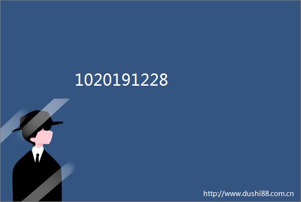 1020191228