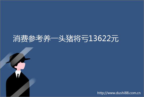 消费参考养一头猪将亏13622元