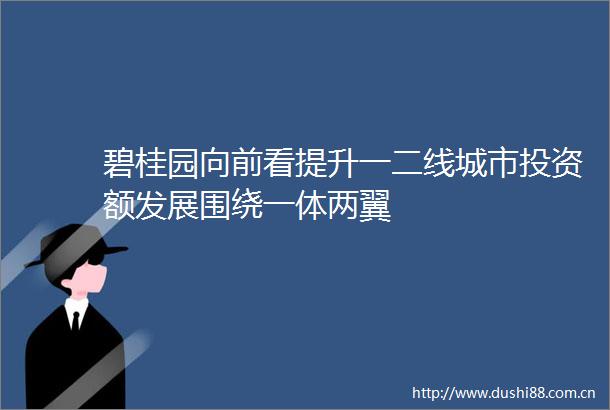 碧桂园向前看提升一二线城市投资额发展围绕一体两翼