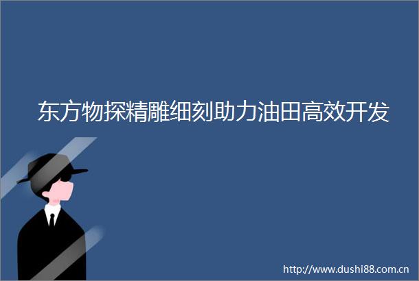 东方物探精雕细刻助力油田高效开发