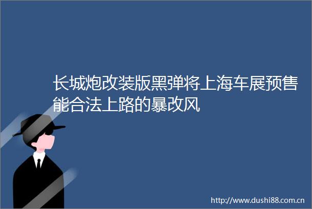 长城炮改装版黑弹将上海车展预售能合法上路的暴改风