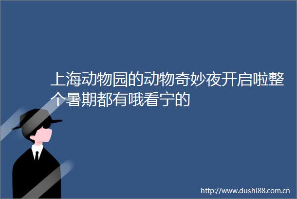 上海动物园的动物奇妙夜开启啦整个暑期都有哦看宁的