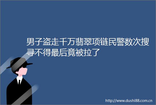 男子盗走千万翡翠项链数次搜寻不得最后竟被拉了