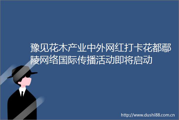 豫见花木产业中外网红打卡花都鄢陵网络国际传播活动即将启动
