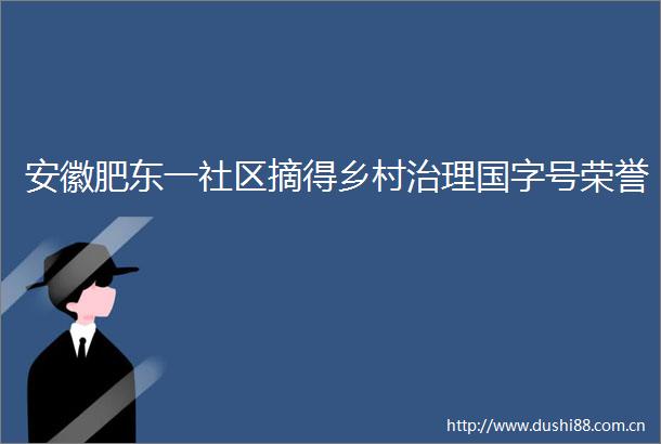 安徽肥东一社区摘得乡村治理国字号荣誉