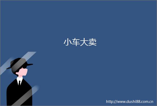 小车大卖