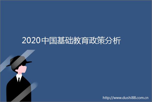 2020基础教育政策分析