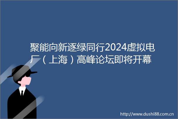 聚能向新逐绿同行2024虚拟电厂（上海）高峰论坛即将开幕