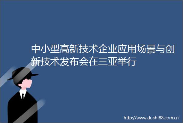 中小型高新技术企业应用场景与创新技术发布会在三亚举行