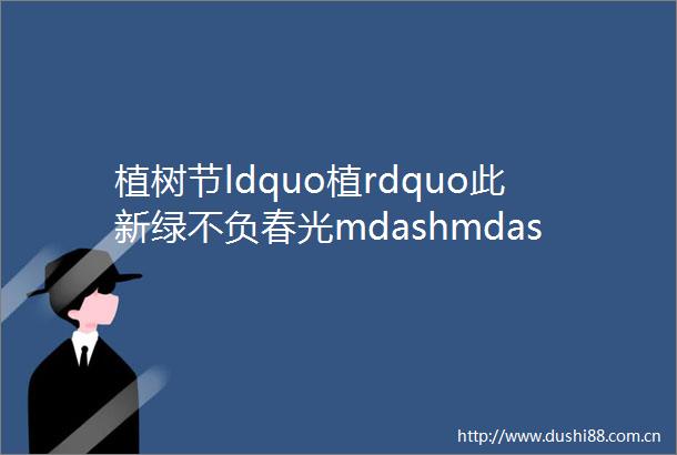 植树节ldquo植rdquo此新绿不负春光mdashmdash宁强县各学校开展2024年ldquo植树节rdquo主题活动