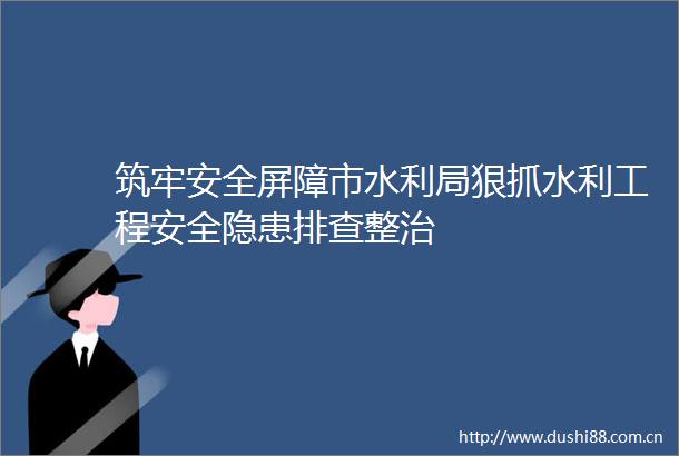 筑牢安全屏障市水利局狠抓水利工程安全隐患排查整治