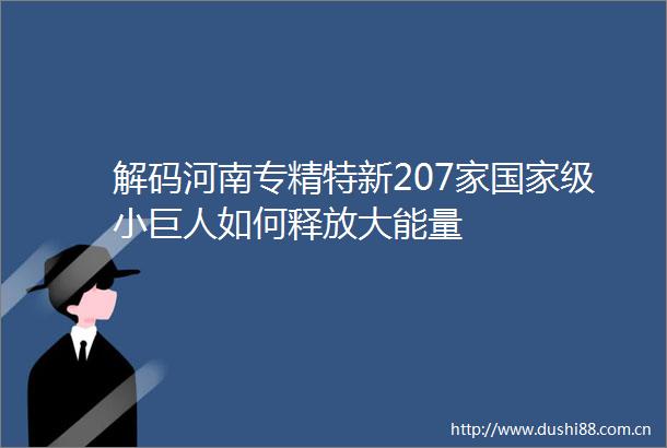 解码河南专精特新207家级小巨人如何释放大能量