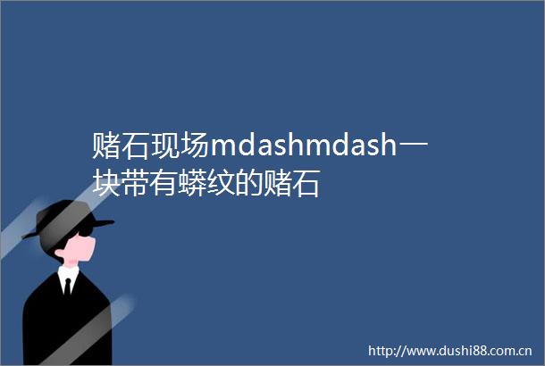 赌石现场mdashmdash一块带有蟒纹的赌石